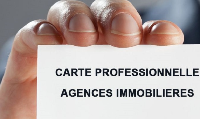 carte professionnelle agent immobilier