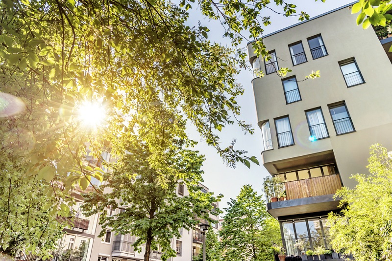 business immobilier